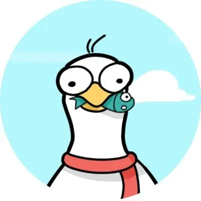GullNetwork AMM